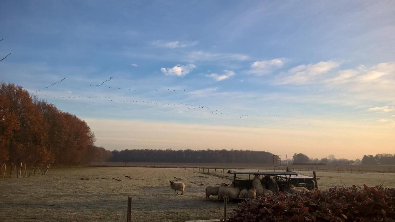 Boerderijkamer Korenbloem *